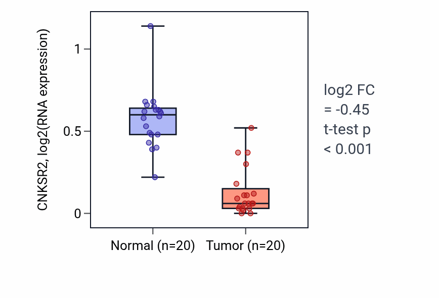 Tumor-vs-normal expression box plot for CNKSR2 in COAD.