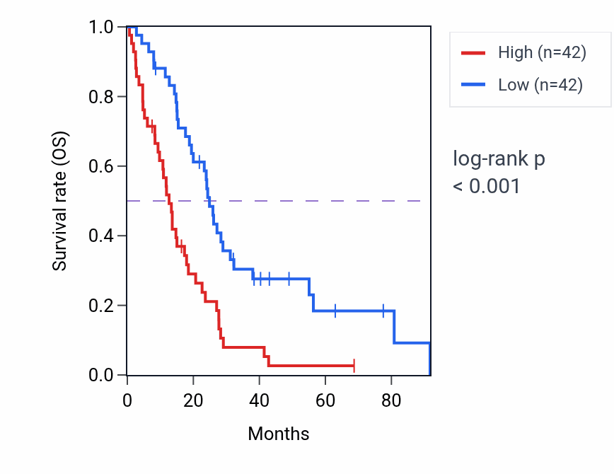 Kaplan&ndash;Meier survival curve for CNN2 RNA expression in MESO: high vs low expression groups.