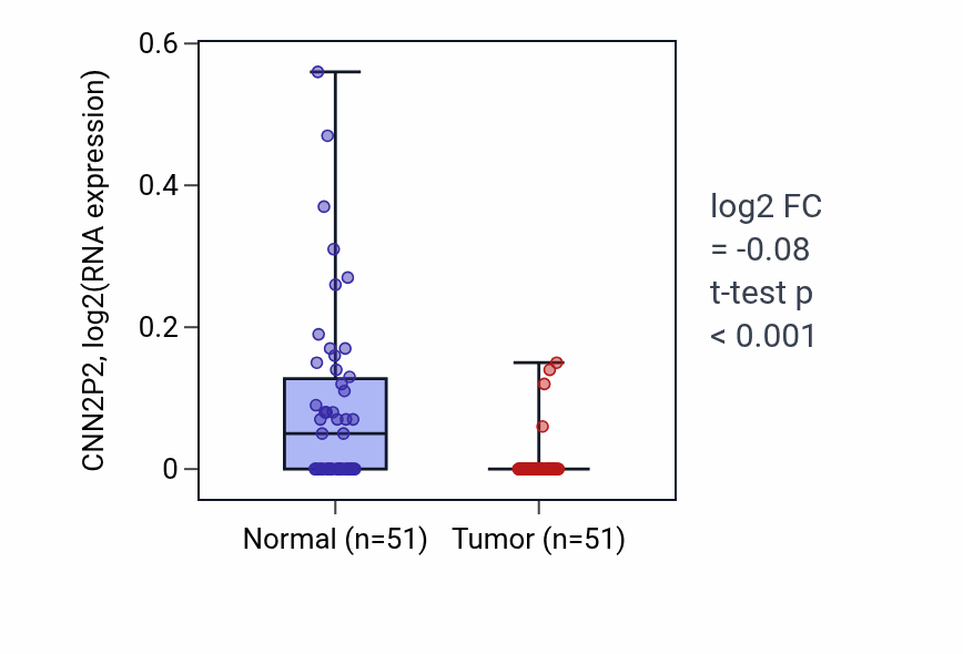 Tumor-vs-normal expression box plot for CNN2P2 in KIRC.