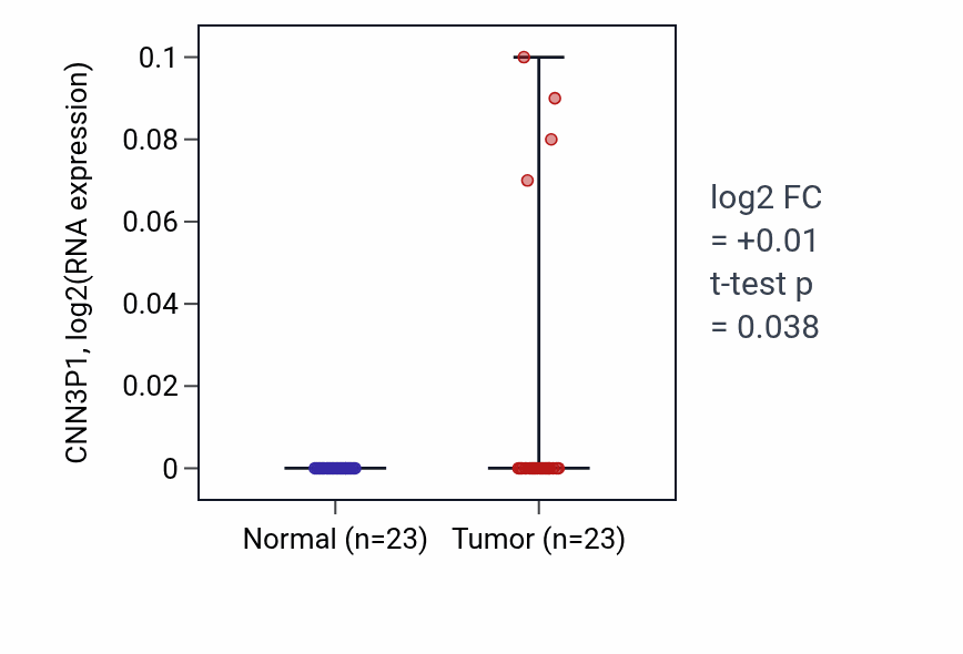 Tumor-vs-normal expression box plot for CNN3P1 in THCA.
