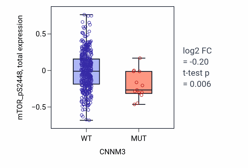 Box plot of mTOR_pS2448 in CNNM3-low vs CNNM3-high samples in UCEC.