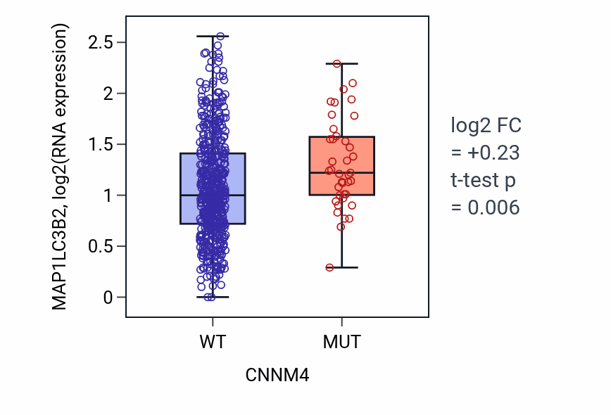Box plot of MAP1LC3B2 in CNNM4-low vs CNNM4-high samples in UCEC.