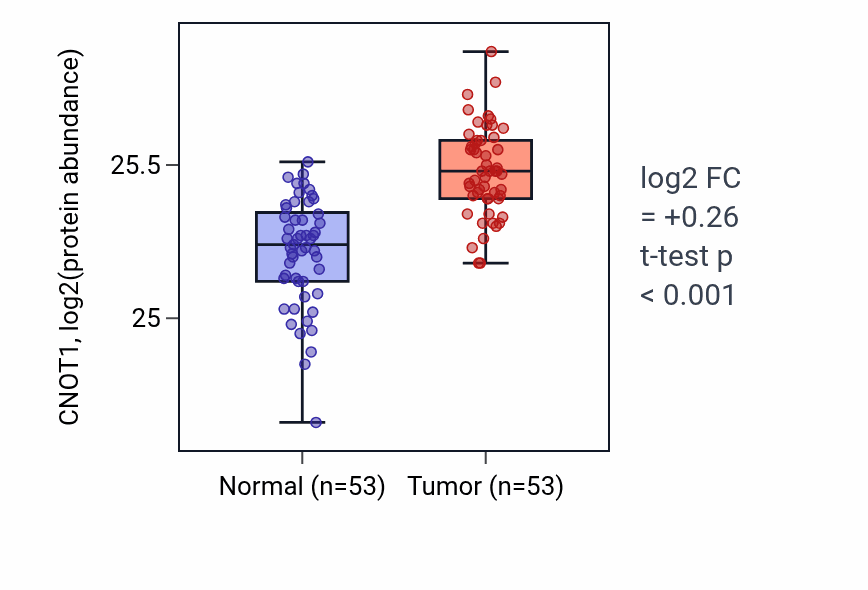 Tumor-vs-normal mass-spec protein box plot for CNOT1 in HNSC.