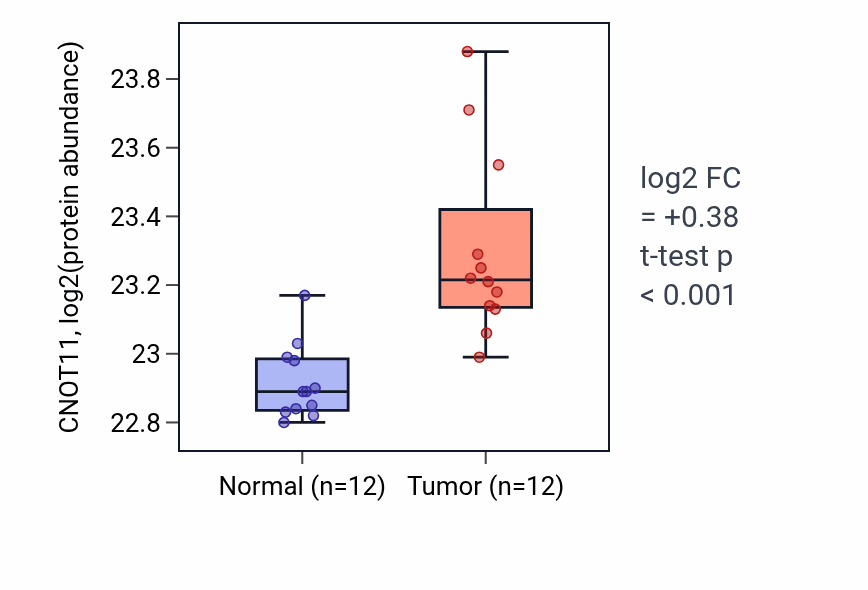 Tumor-vs-normal mass-spec protein box plot for CNOT11 in CCRCC.