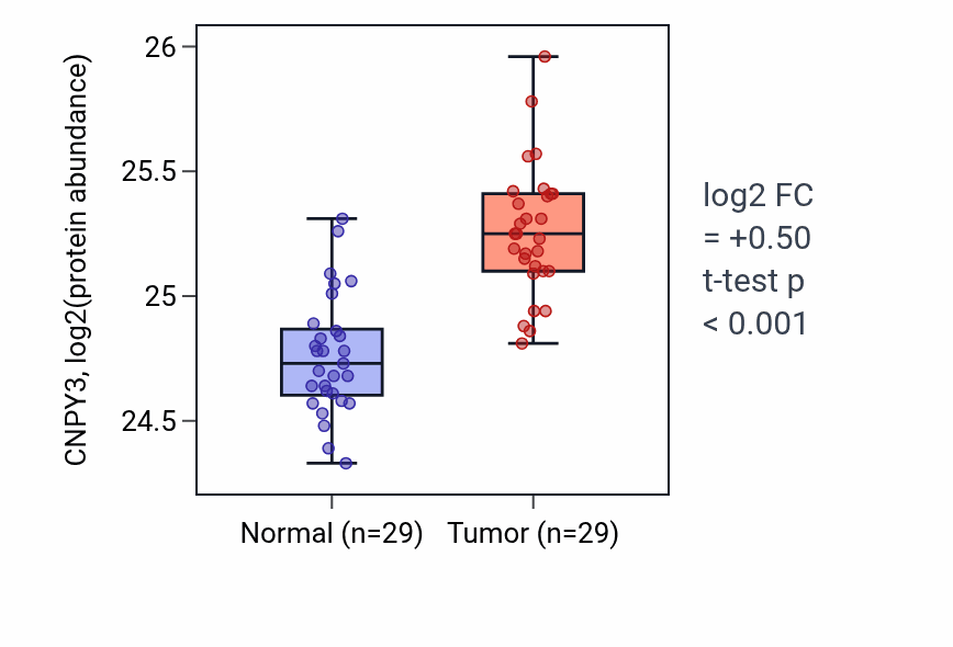 Tumor-vs-normal mass-spec protein box plot for CNPY3 in CCRCC.