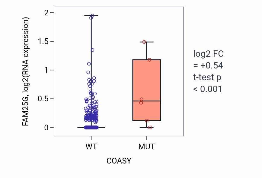 Box plot of FAM25G in COASY-low vs COASY-high samples in LUSC.