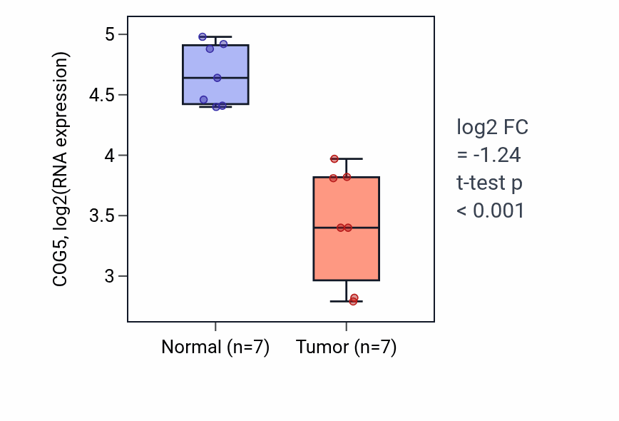 Tumor-vs-normal expression box plot for COG5 in THCA.