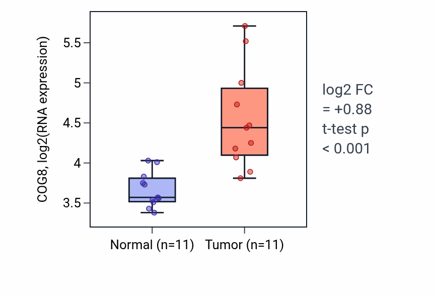 Tumor-vs-normal expression box plot for COG8 in KIRP.