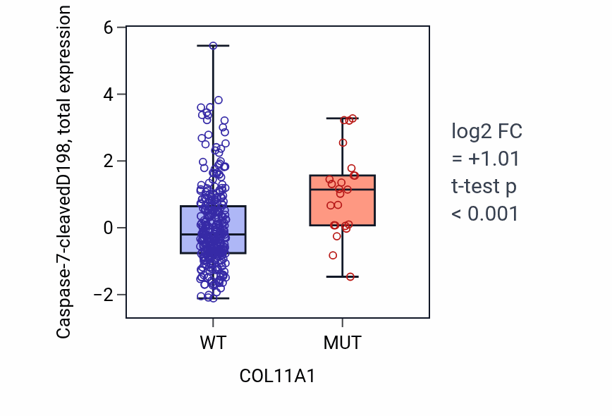 Box plot of Caspase-7-cleavedD198 in COL11A1-low vs COL11A1-high samples in COAD.