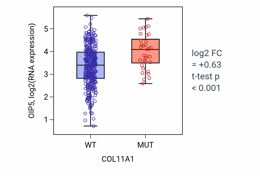 Box plot of OIP5 in COL11A1-low vs COL11A1-high samples in STAD.