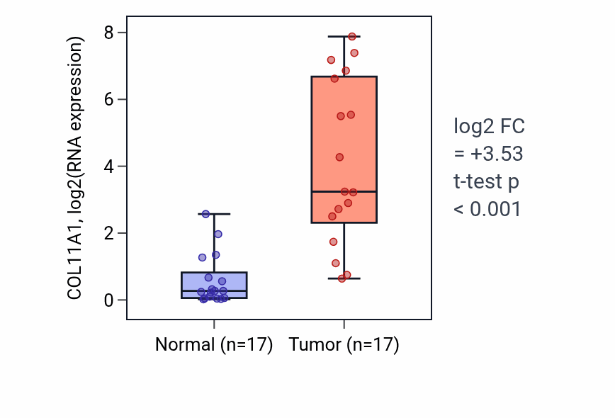 Tumor-vs-normal expression box plot for COL11A1 in HNSC.