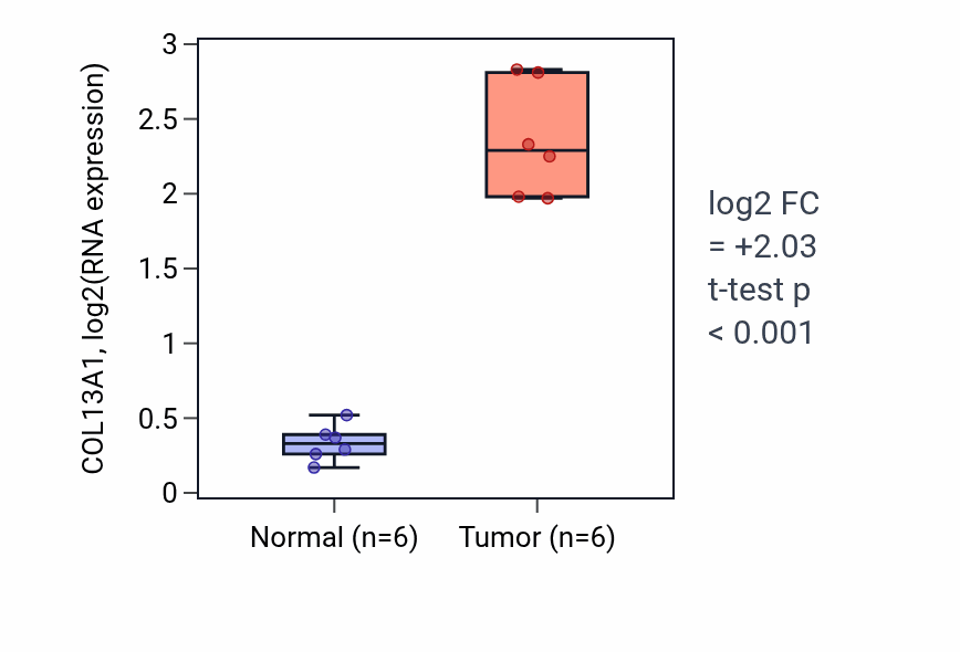 Tumor-vs-normal expression box plot for COL13A1 in HNSC.