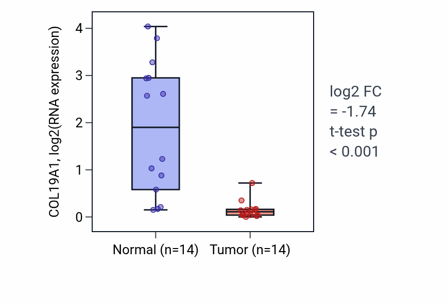 Tumor-vs-normal expression box plot for COL19A1 in BLCA.