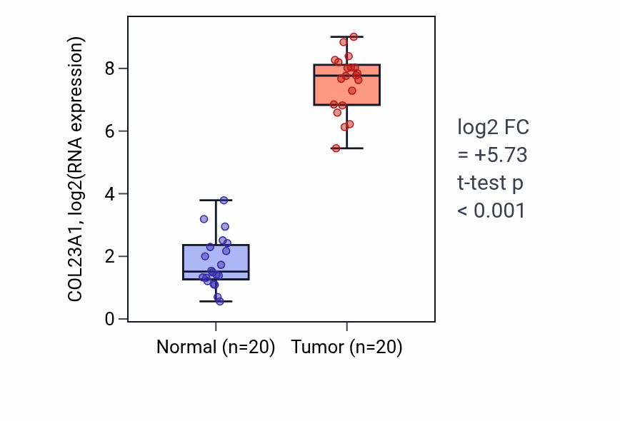 Tumor-vs-normal expression box plot for COL23A1 in KIRC.
