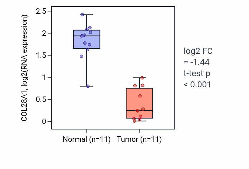 Tumor-vs-normal expression box plot for COL28A1 in KICH.