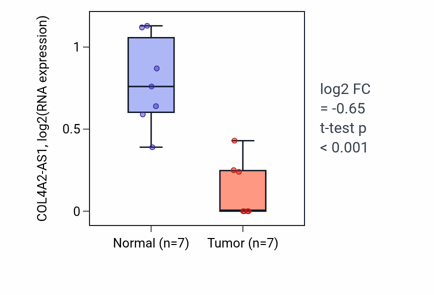 Tumor-vs-normal expression box plot for COL4A2-AS1 RNA in THCA.