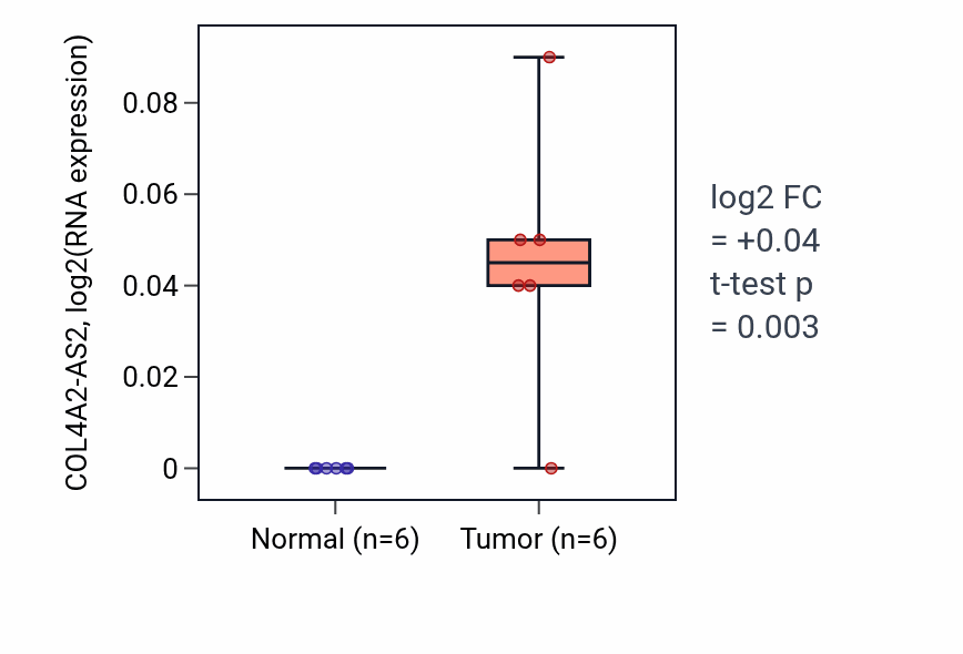 Tumor-vs-normal expression box plot for COL4A2-AS2 in HNSC.