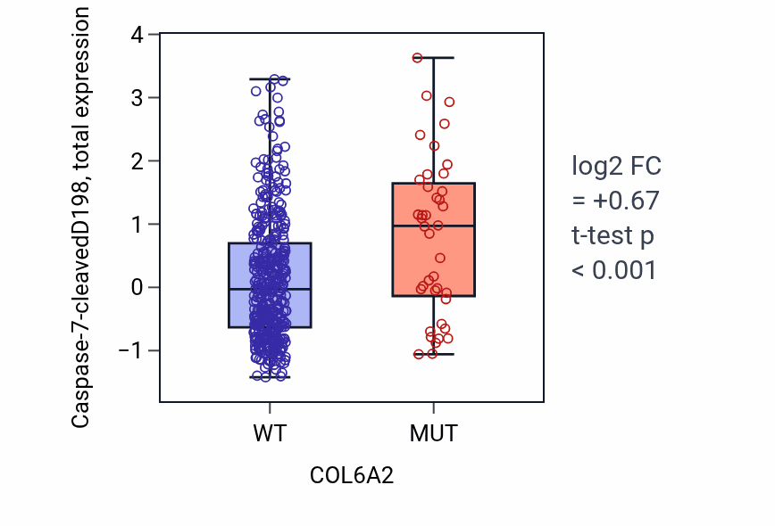 Box plot of Caspase-7-cleavedD198 in COL6A2-low vs COL6A2-high samples in UCEC.