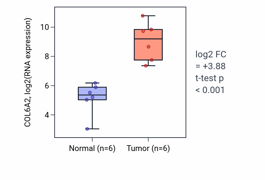 Tumor-vs-normal expression box plot for COL6A2 RNA in HNSC.