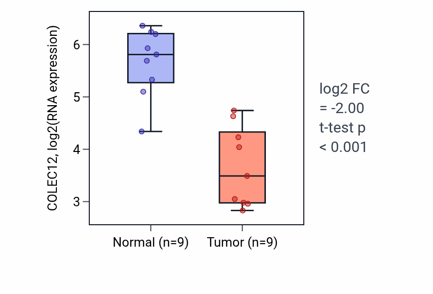 Tumor-vs-normal expression box plot for COLEC12 in LUAD.
