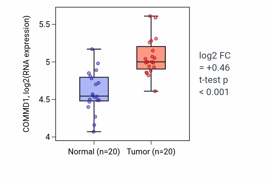 Tumor-vs-normal expression box plot for COMMD1 in KIRC.