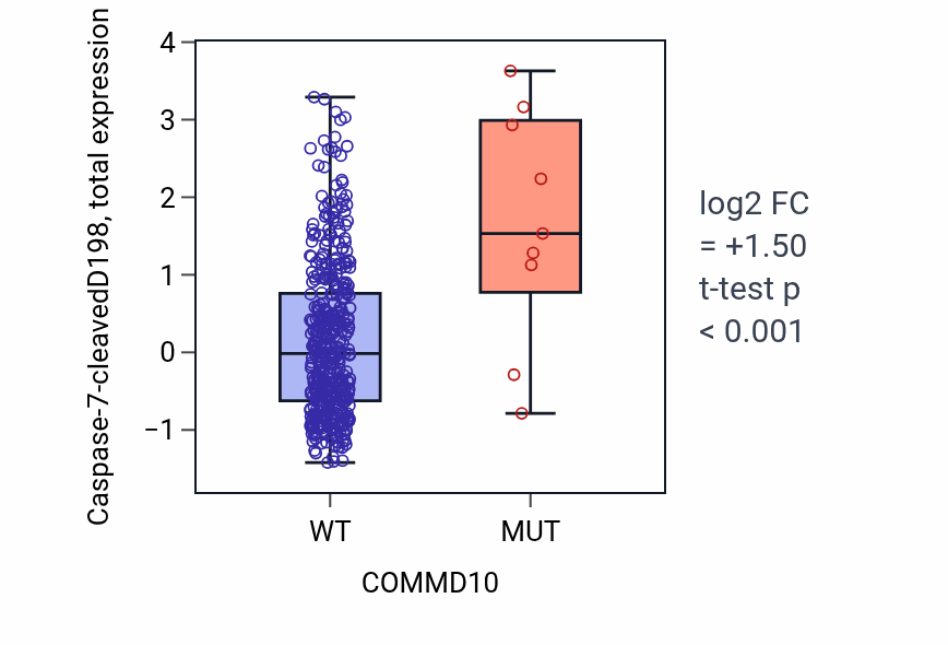 Box plot of Caspase-7-cleavedD198 in COMMD10-low vs COMMD10-high samples in UCEC.