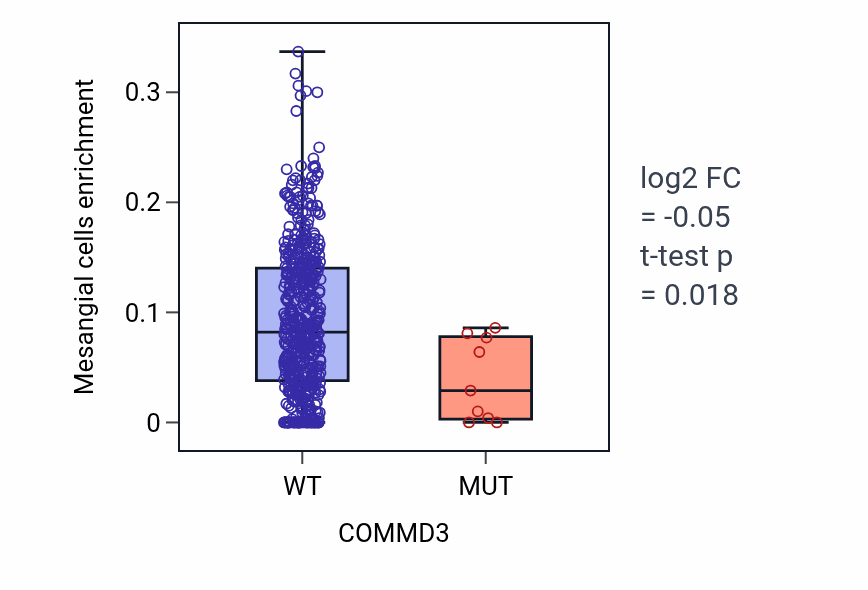 Box plot of Mesangial cells in COMMD3-low vs COMMD3-high samples in UCEC.
