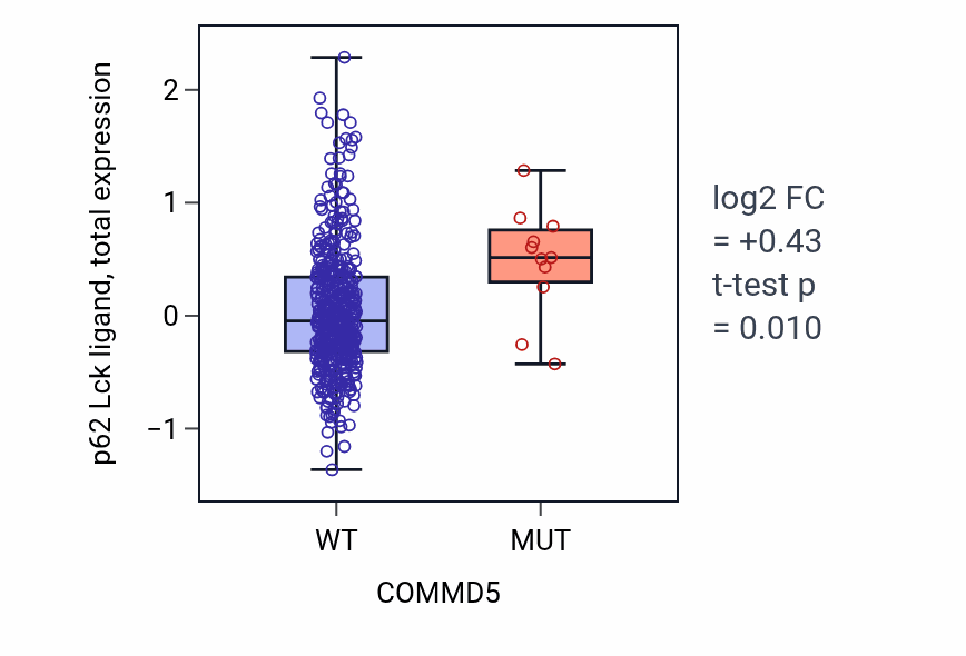 Box plot of p62 Lck ligand in COMMD5-low vs COMMD5-high samples in UCEC.