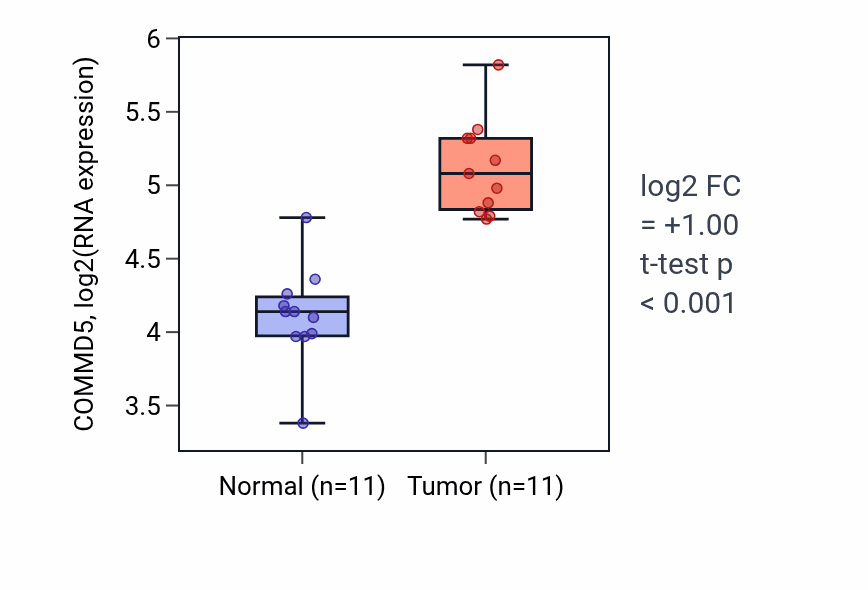 Tumor-vs-normal expression box plot for COMMD5 in HNSC.