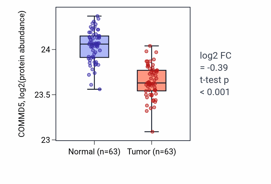 Tumor-vs-normal mass-spec protein box plot for COMMD5 in CCRCC.