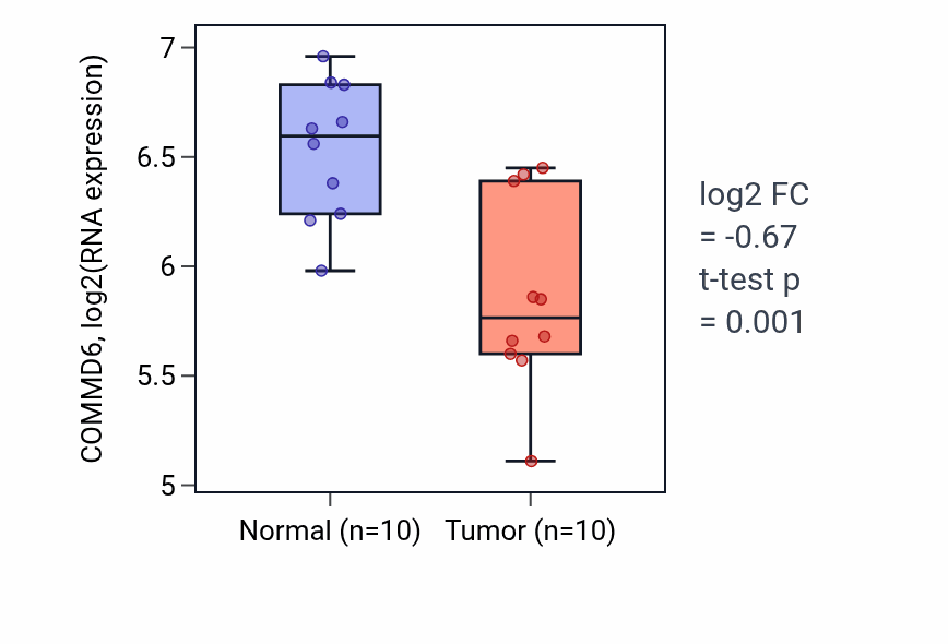 Tumor-vs-normal expression box plot for COMMD6 in BLCA.