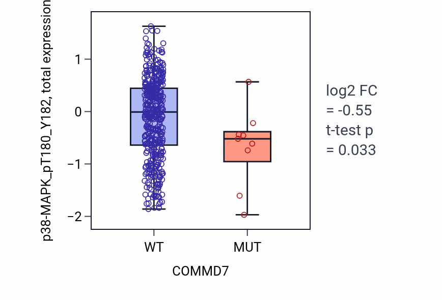 Box plot of p38-MAPK_pT180_Y182 in COMMD7-low vs COMMD7-high samples in UCEC.