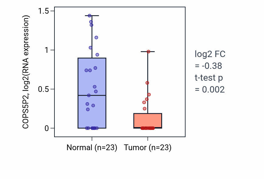Tumor-vs-normal expression box plot for COPS5P2 in UCEC.