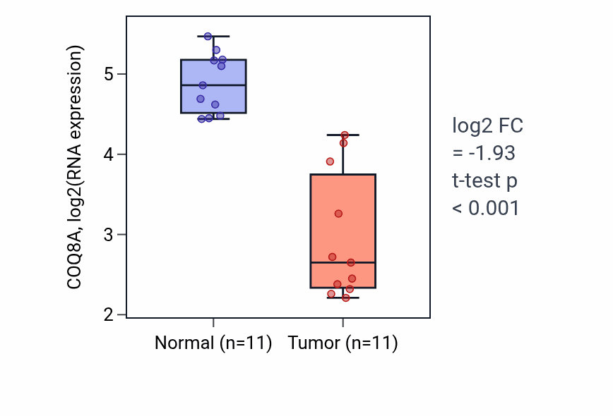 Tumor-vs-normal expression box plot for COQ8A in KICH.