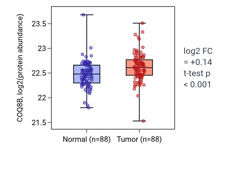 Tumor-vs-normal mass-spec protein box plot for COQ8B in COAD.