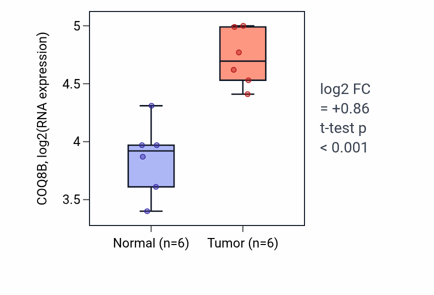 Tumor-vs-normal expression box plot for COQ8B RNA in KIRC.