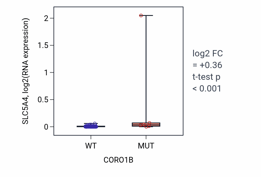 Box plot of SLC5A4 in CORO1B-low vs CORO1B-high samples in BLOOD_Leukemia.