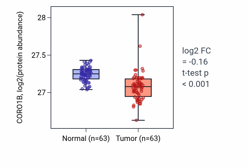 Tumor-vs-normal mass-spec protein box plot for CORO1B in CCRCC.