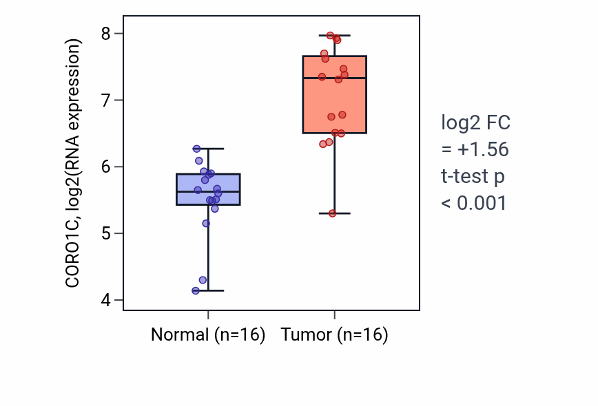 Tumor-vs-normal expression box plot for CORO1C in HNSC.