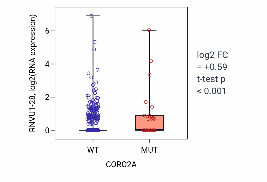 Box plot of RNVU1-28 in CORO2A-low vs CORO2A-high samples in UCEC.
