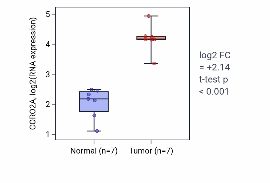 Tumor-vs-normal expression box plot for CORO2A in THCA.
