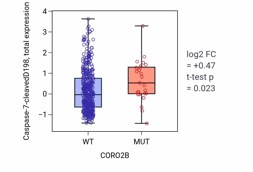Box plot of Caspase-7-cleavedD198 in CORO2B-low vs CORO2B-high samples in UCEC.