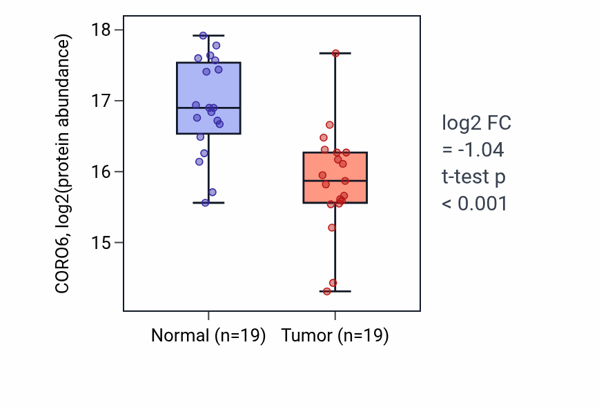 Tumor-vs-normal mass-spec protein box plot for CORO6 in LUAD.