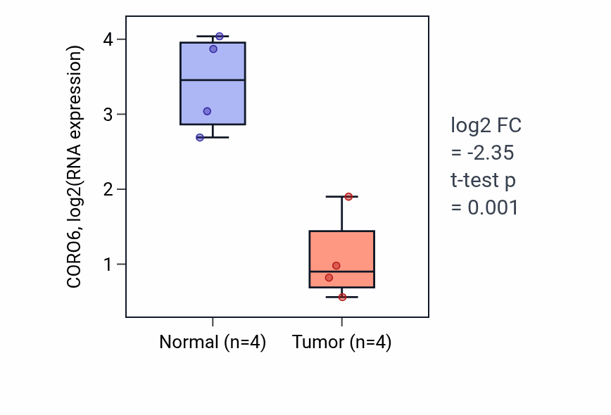 Tumor-vs-normal expression box plot for CORO6 RNA in BLCA.
