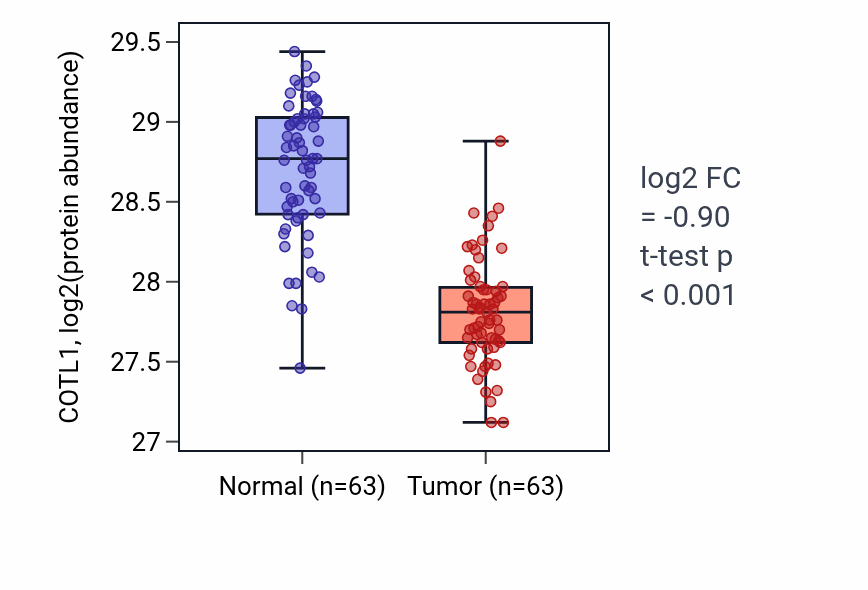 Tumor-vs-normal mass-spec protein box plot for COTL1 in CCRCC.