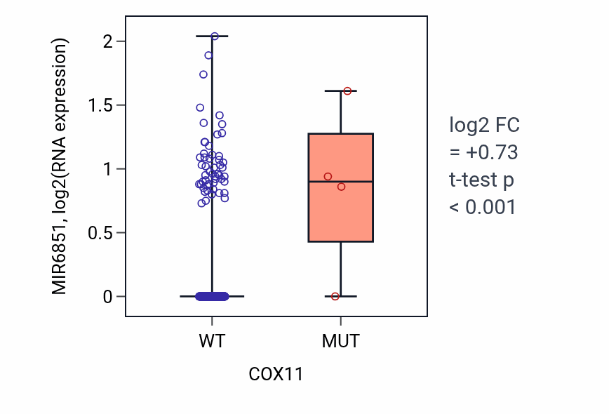 Box plot of MIR6851 in COX11-low vs COX11-high samples in SKCM.