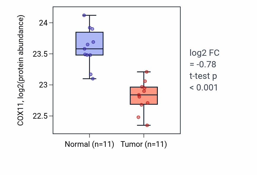 Tumor-vs-normal mass-spec protein box plot for COX11 in CCRCC.