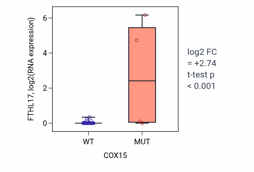 Box plot of FTHL17 in COX15-low vs COX15-high samples in LUNG_NSCLC_LUAD.