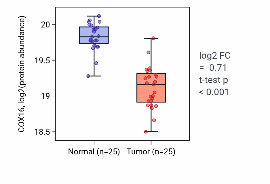 Tumor-vs-normal mass-spec protein box plot for COX16 in CCRCC.