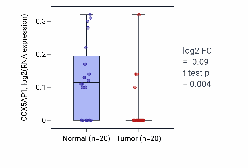 Tumor-vs-normal expression box plot for COX5AP1 RNA in KIRC.